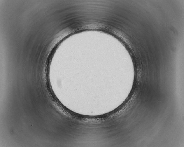 X0000112511026200909280951