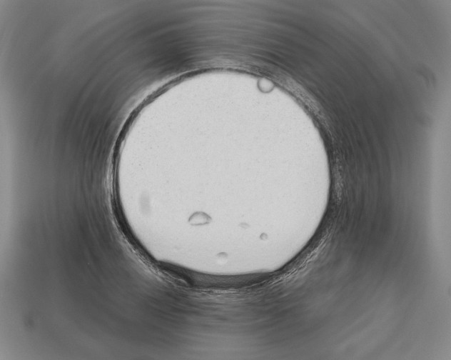 X0000112511028200909280951