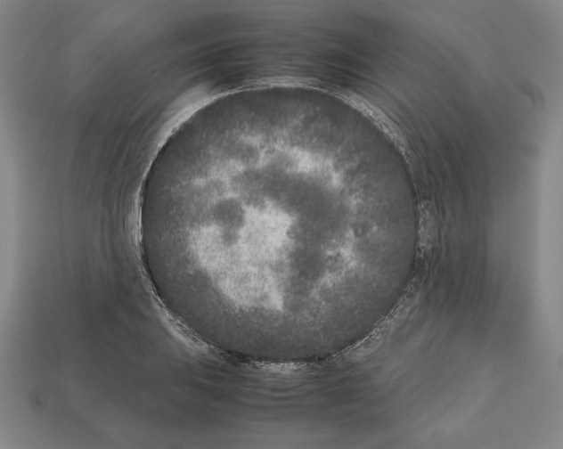 X0000112511031200909280951