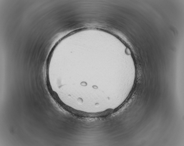 X0000112511032200909280951