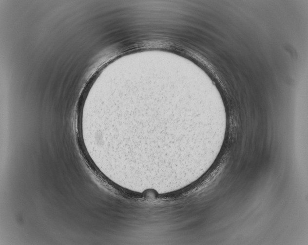 X0000112511034200909280951