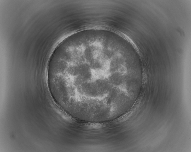 X0000112511035200909280951