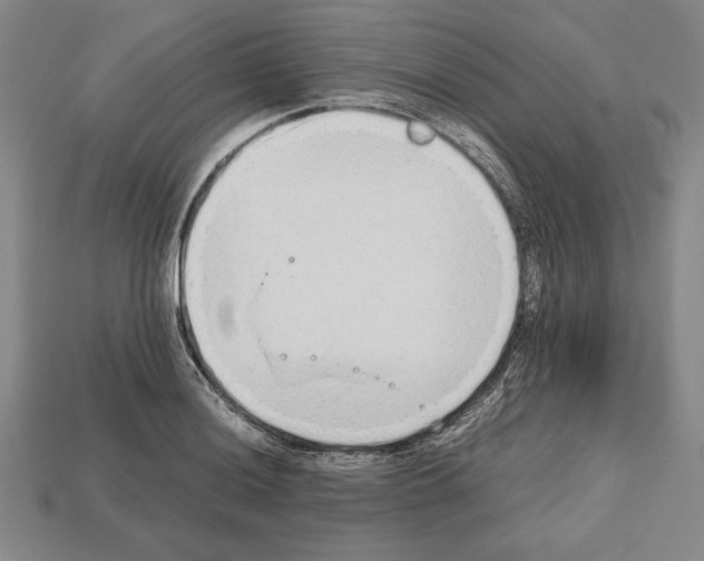 X0000112511036200909280951