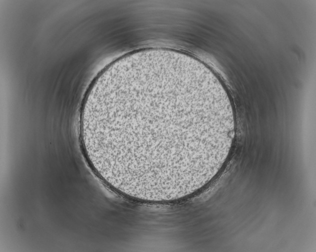 X0000112511040200909280951