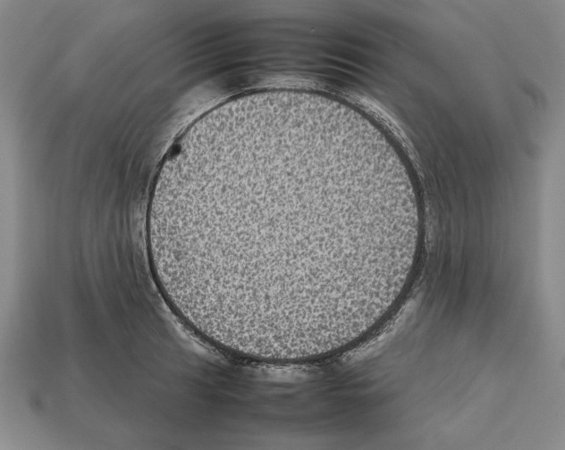 X0000112511041200909280951