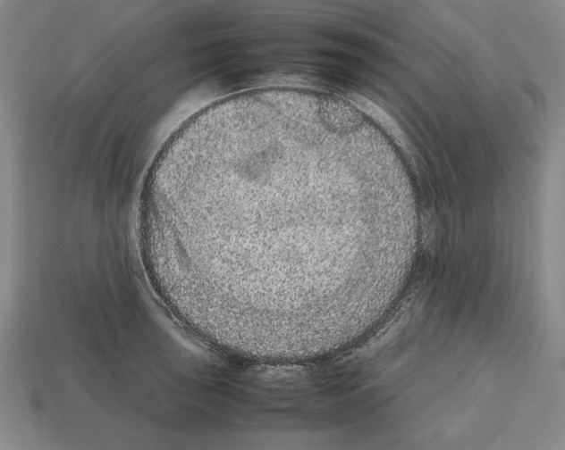 X0000112511043200909280951