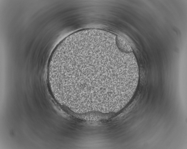 X0000112511044200909280951