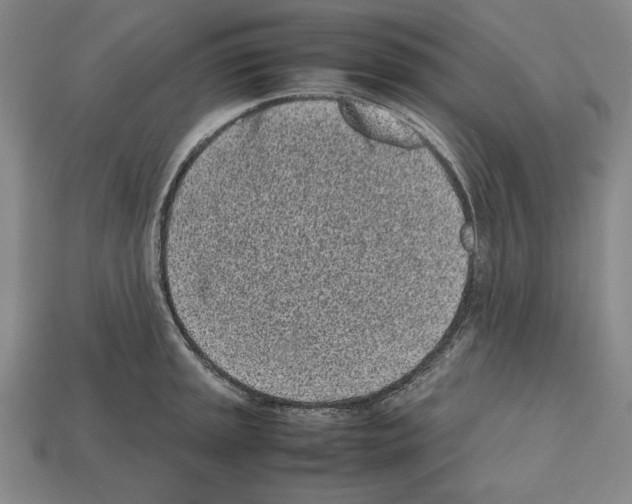 X0000112511045200909280951