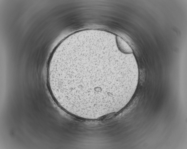 X0000112511046200909280951