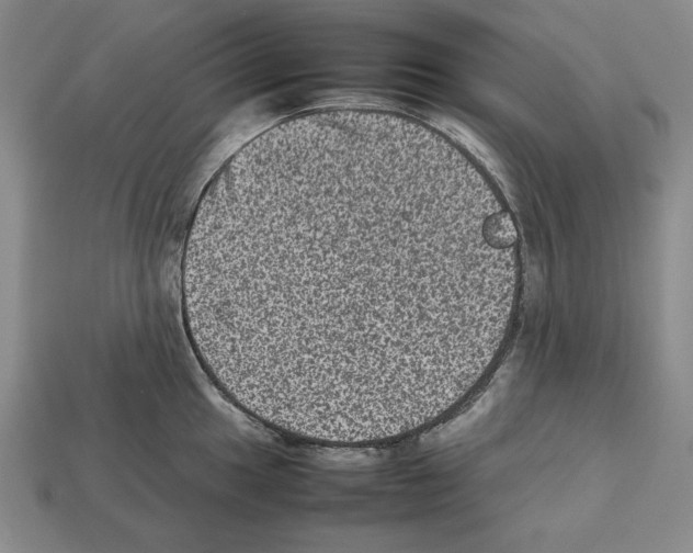 X0000112511049200909280951