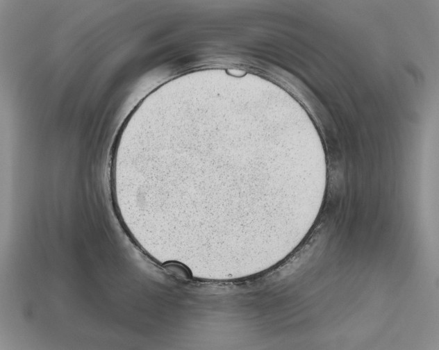 X0000112511050200909280951