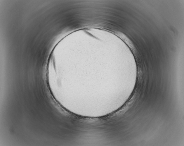 X0000112511052200909280951