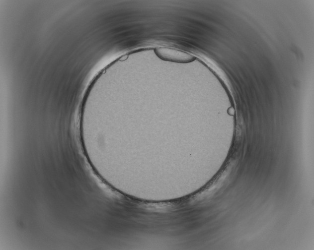 X0000112511053200909280951