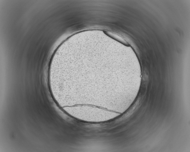 X0000112511054200909280951