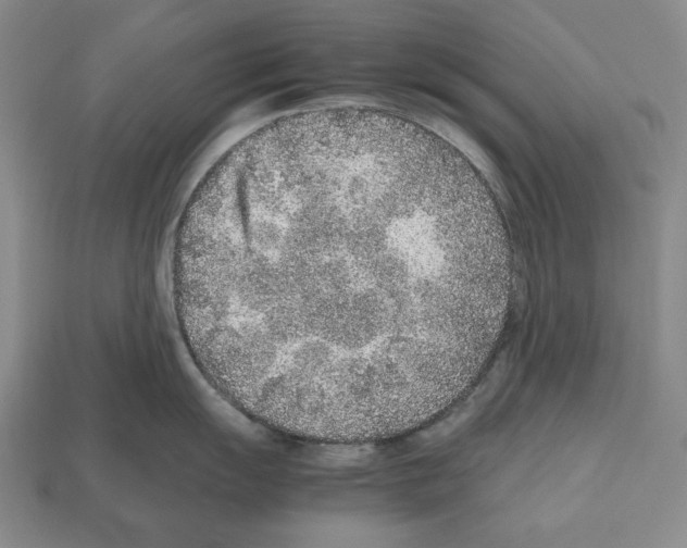 X0000112511055200909280951