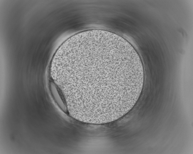 X0000112511056200909280951