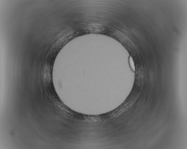 X0000112511058200909280951