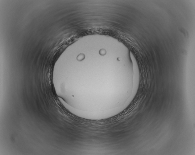 X0000112511060200909280951