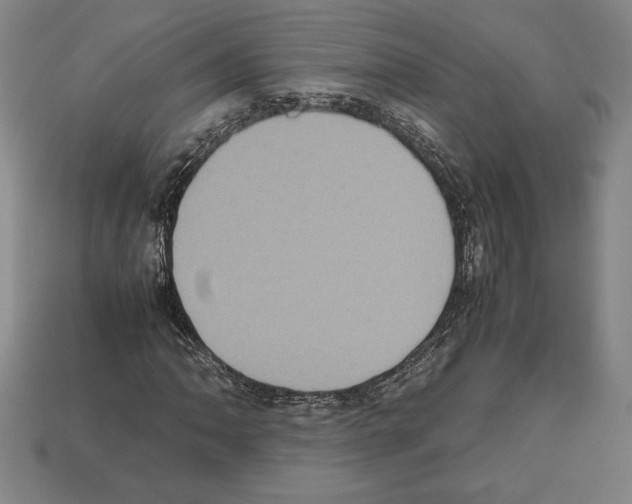 X0000112511062200909280950