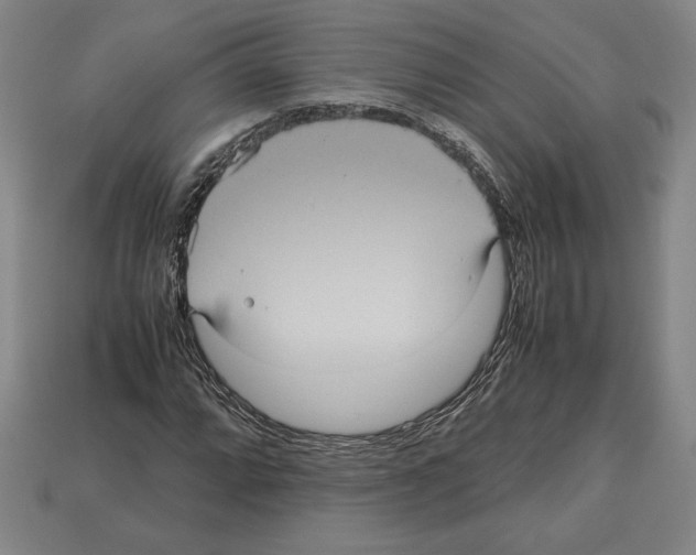 X0000112511064200909280950