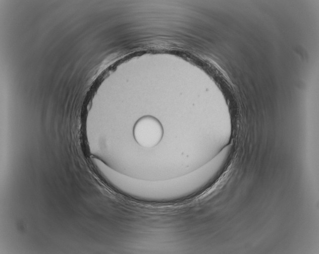 X0000112511065200909280950