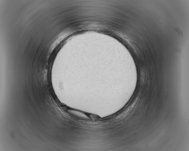 X0000112511066200909280950