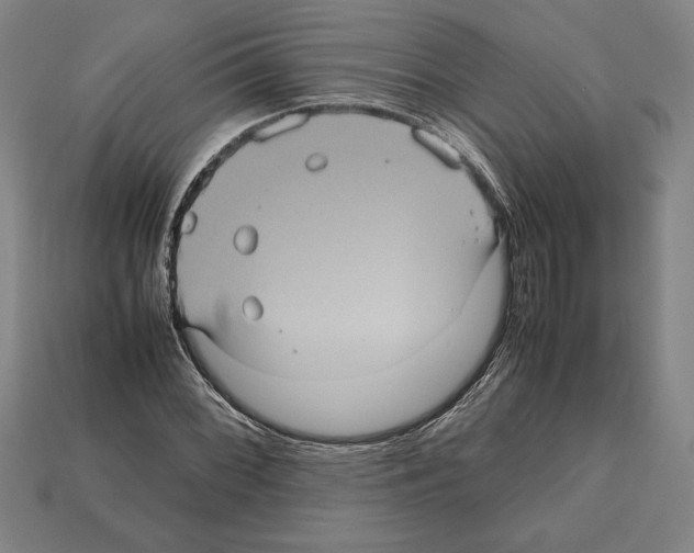 X0000112511068200909280950