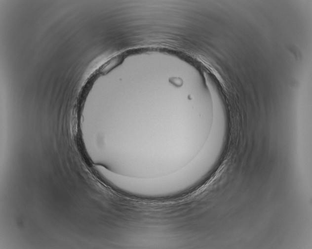 X0000112511069200909280950