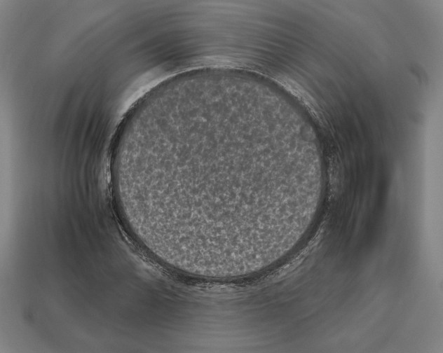 X0000112511070200909280950