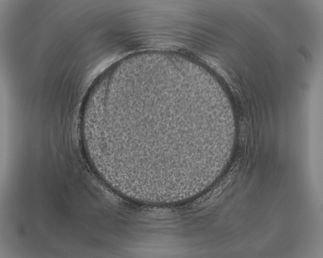 X0000112511071200909280950