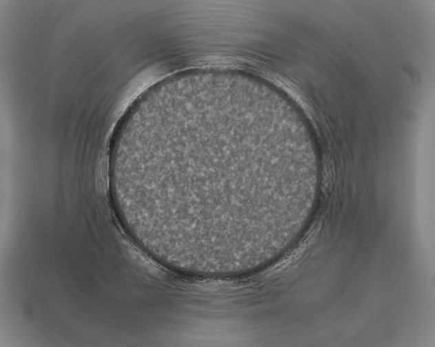 X0000112511075200909280950