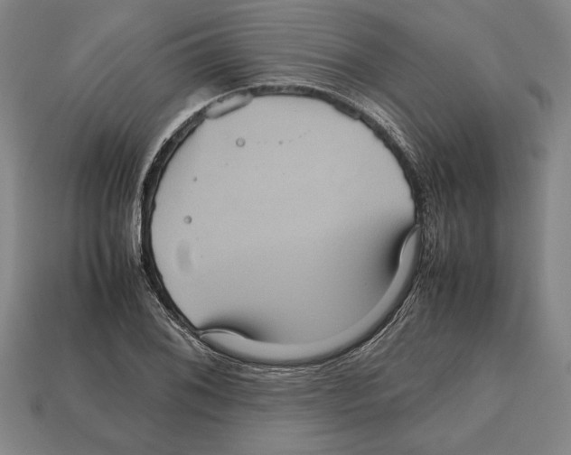 X0000112511076200909280950