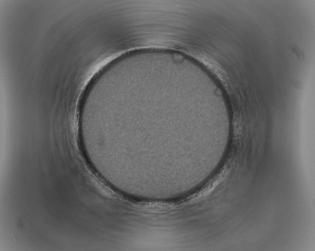 X0000112511077200909280950