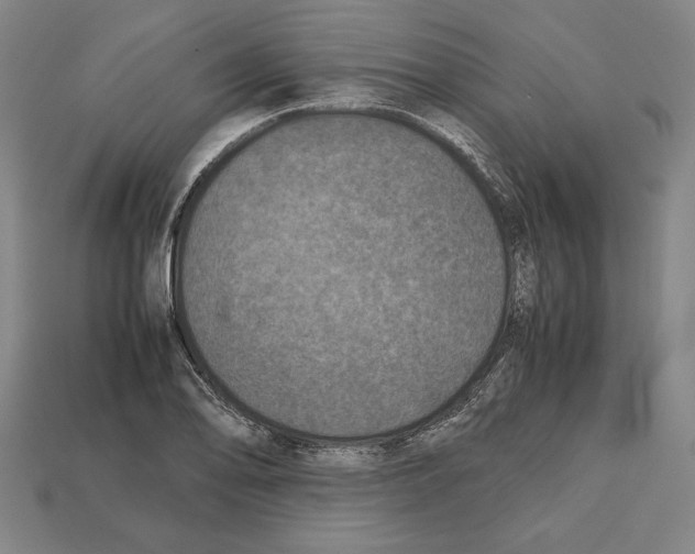 X0000112511078200909280950