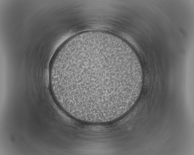 X0000112511079200909280950