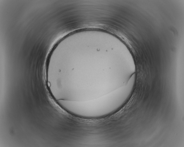 X0000112511080200909280950