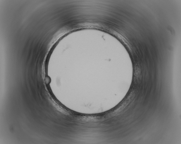 X0000112511082200909280950