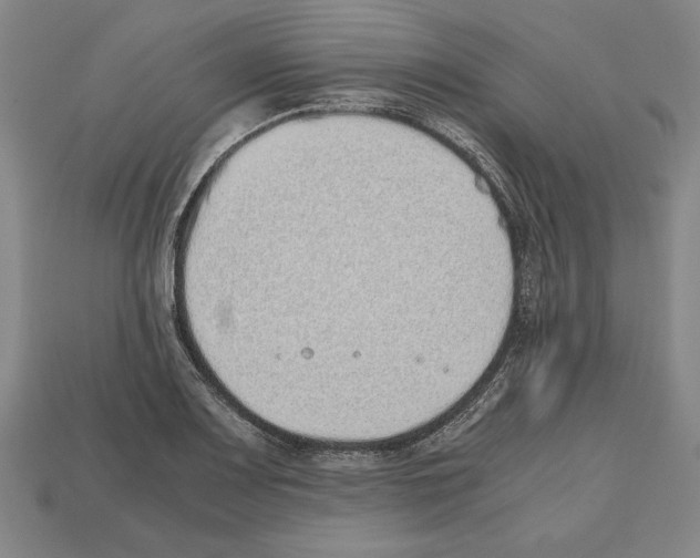 X0000112511083200909280950