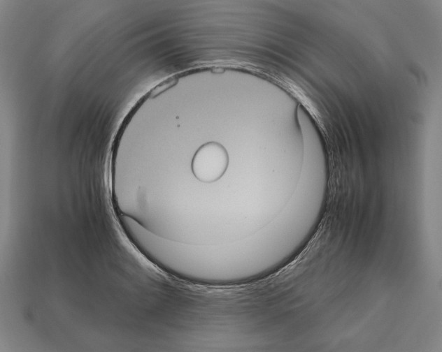 X0000112511084200909280950