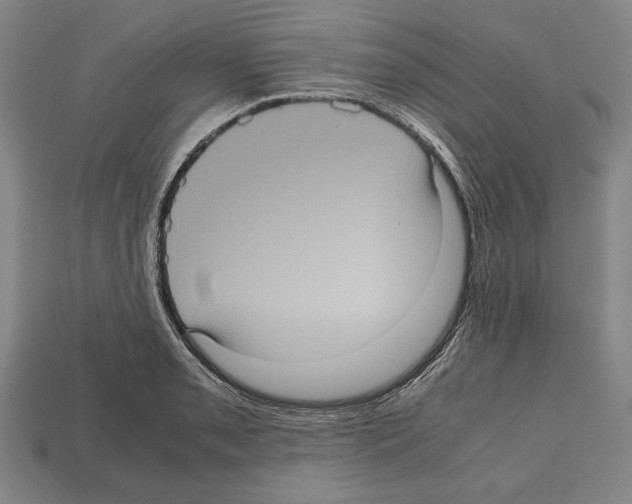 X0000112511085200909280950