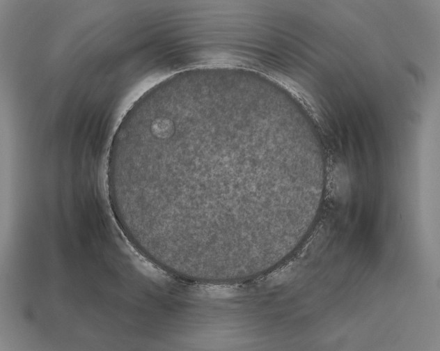 X0000112511086200909280950