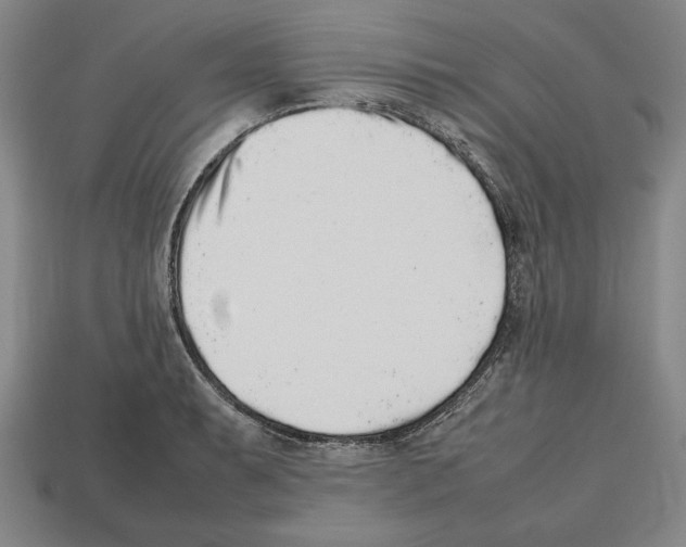 X0000112511087200909280950