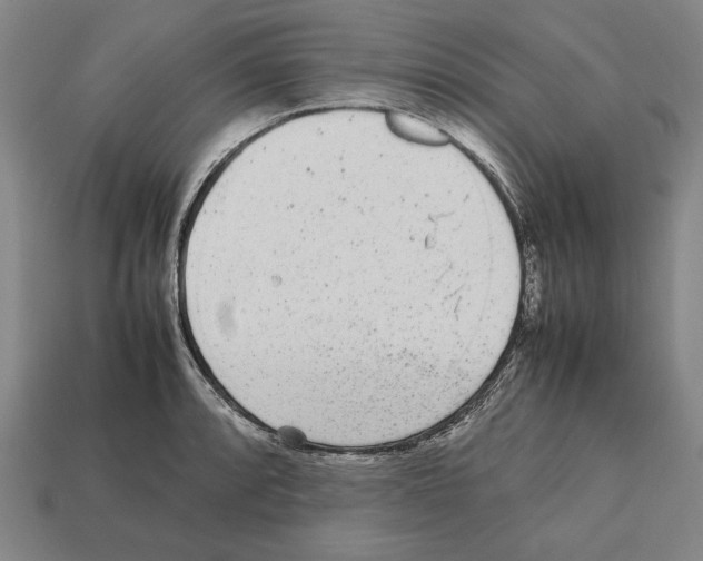 X0000112511088200909280950