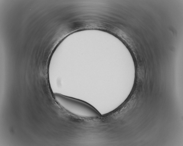 X0000112511089200909280950