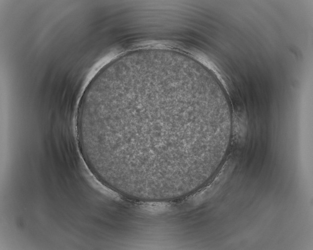 X0000112511090200909280950