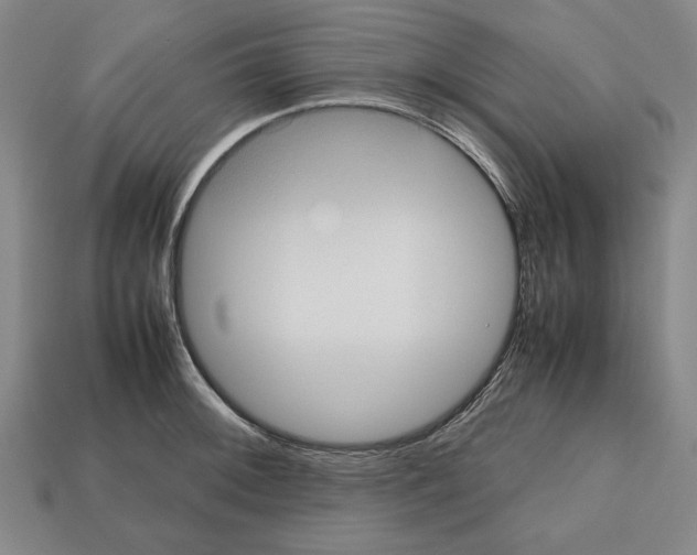 X0000112511092200909280950