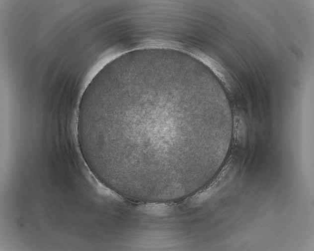 X0000112511094200909280950