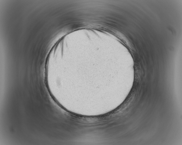 X0000112511095200909280950