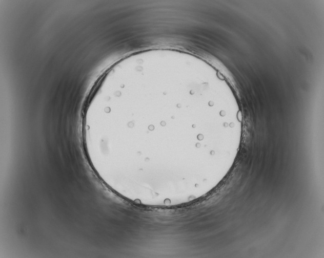 X0000112511096200909280950