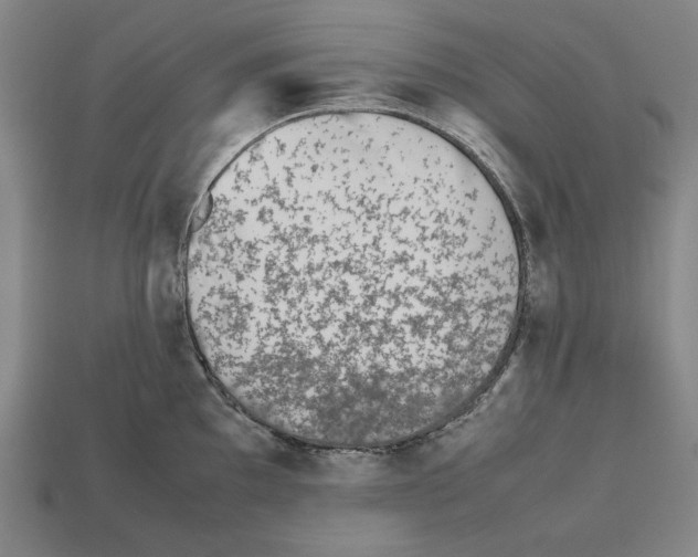 X0000112511097200909280950